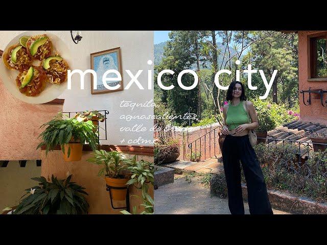 mexico city vlog | a week in mexico