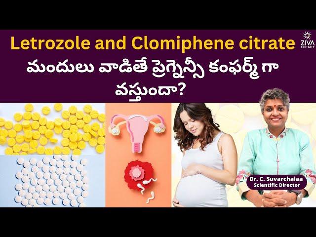 అండం విడుదలకి ఈ మందులు | Medicine For Ovulation In Telugu | Dr C Suvarchala | Ziva Fertility