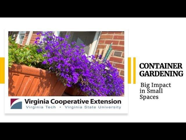 2024 Container Gardening: Big Impact in Small Spaces