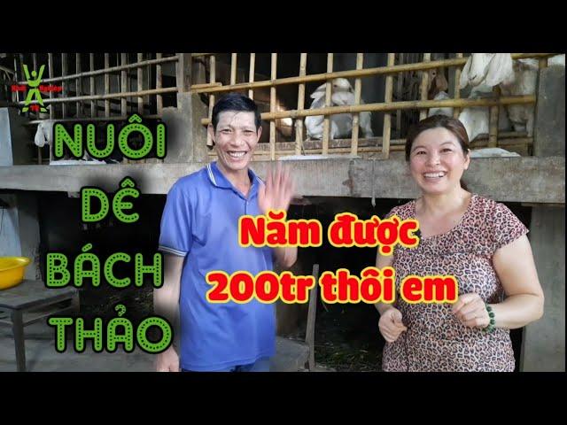 Nuôi Dê Bách Thảo năm kiếm nhẹ nhẹ 200tr | khởi nghiệp TV