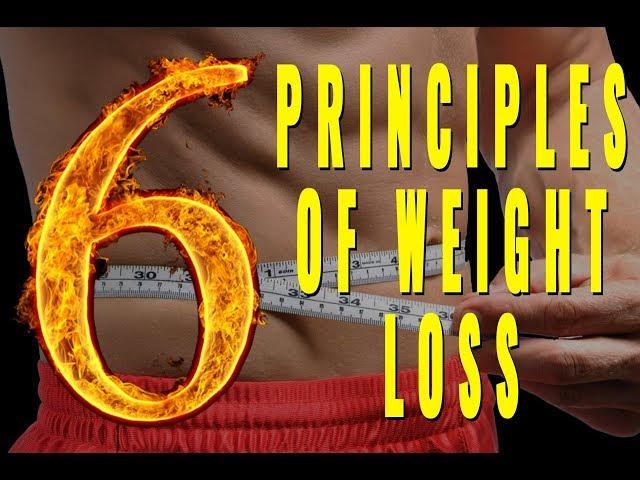 6 Basic Principles of Weight Loss - Full Guide For Men Over 40