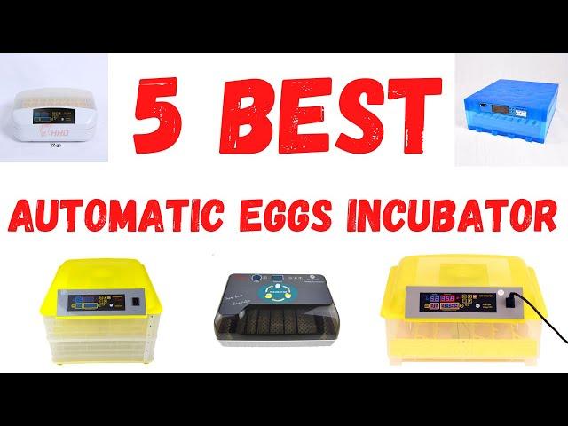 Top 5 best chicken hatching eggs incubator