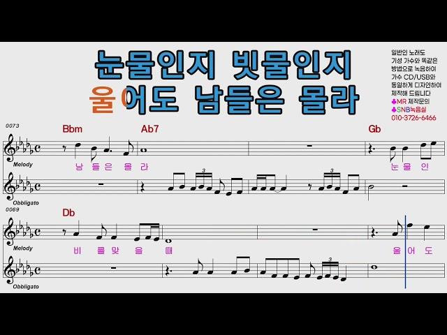 배금성 사랑이 비를 맞아요 악보영상