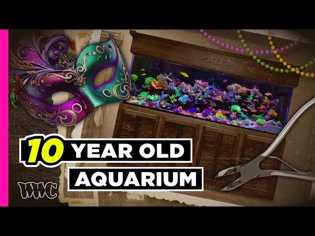 Oldest Reef Tank in New Orleans! | 220 Gallon tank