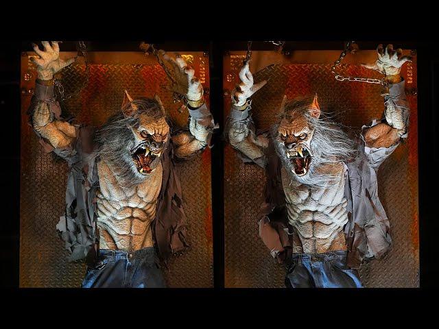 Scare Wolf Animatronic Werewolf Prop Shakes Savagely by Distortions Unlimited