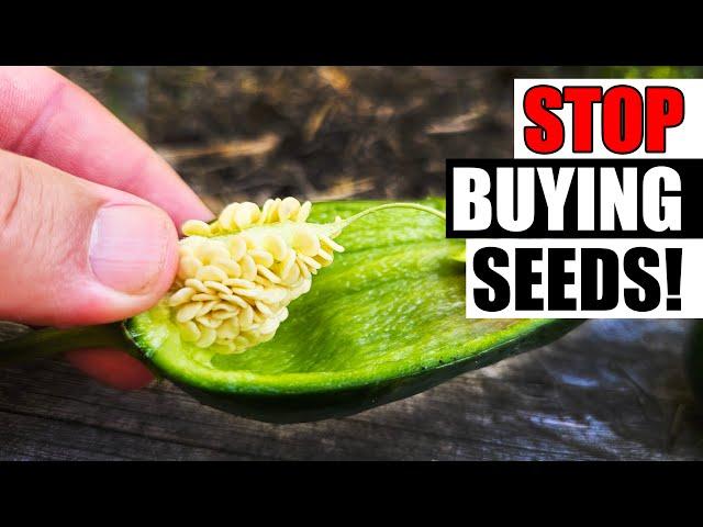 8 Best Crops To Save Seeds From