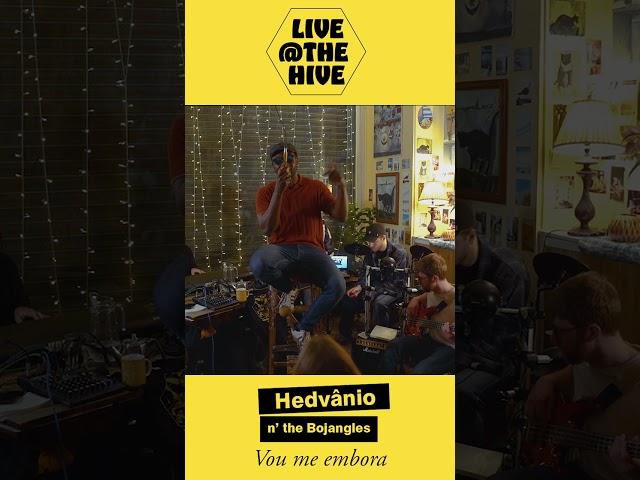 Vou me embora - Live at the Hive - Hedvanio and the Bojangles