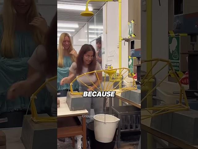 Engineering Students Built a Bridge That Shocked Everyone! ( @houseldesign )