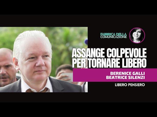 ASSANGE. COLPEVOLE PER TORNARE LIBERO - Berenice Galli