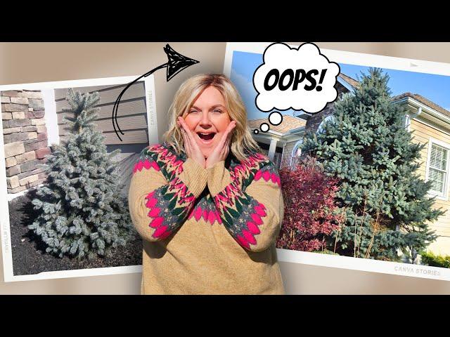 13 Mistakes You Must NEVER Make in Your Yard or Garden. Landscaping Tips for the DIY Homeowner.