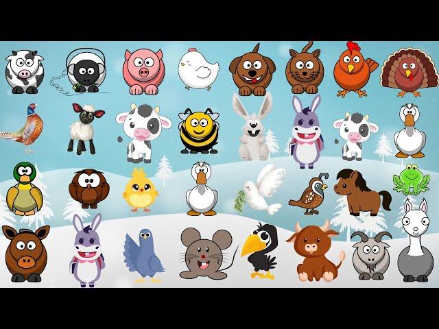 Farm Animal Sounds Song 0811 | Nursery Rhymes | Little Bunny Learns