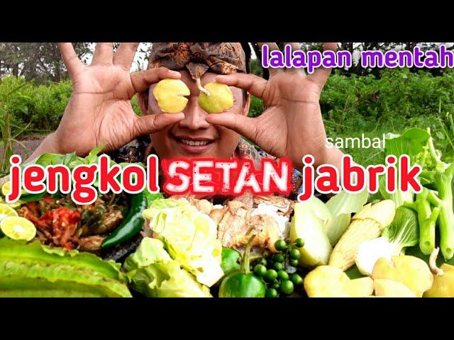 MUKBANG JENGKOL SETAN SAMBAL JABRIK, LALAP BATANG PEPAYA MENTAH IKAN ASIN GABUS, EATING PAPAYA TREE