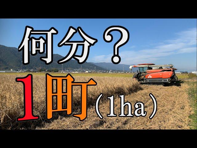 【コンバイン】一町（1ha） 何分で終わる？ 6条刈 クボタ DR6130【稲刈り】