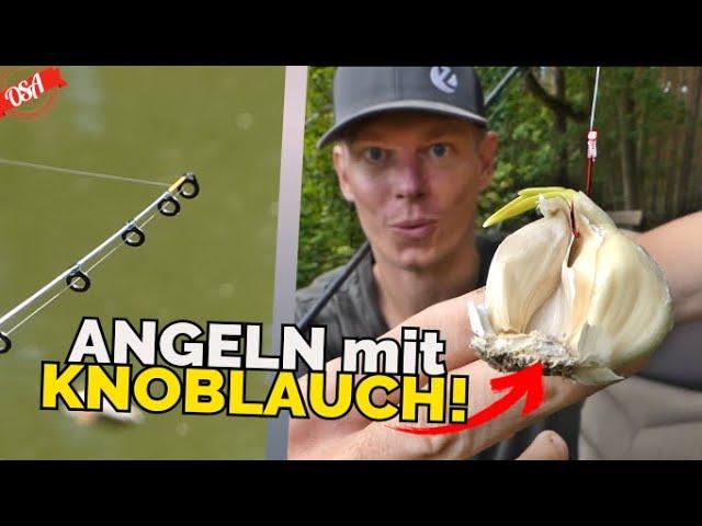 ALTERNATIV KÖDER! Fange mit KNOBLAUCH! OSA in Mission Angeln