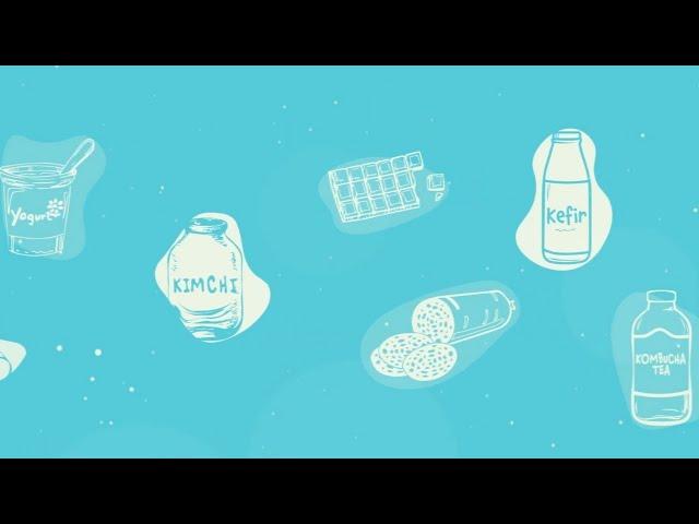 What are fermented foods? ISAPP educational video