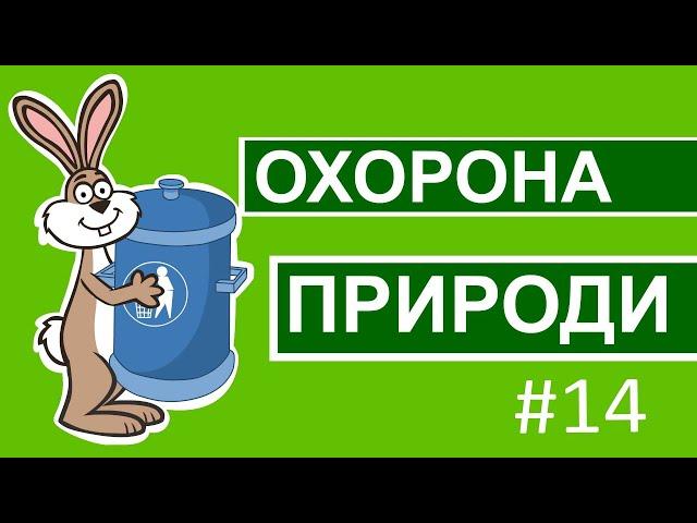 Пригоди лісових друзів – Охорона природи