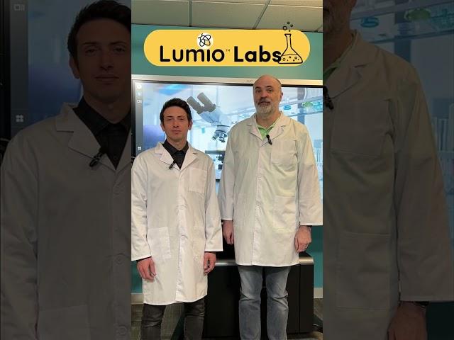 Lumio #shorts: Export As PDF from the Lumio Labs