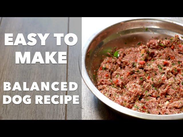 Homemade Dog Food Recipe