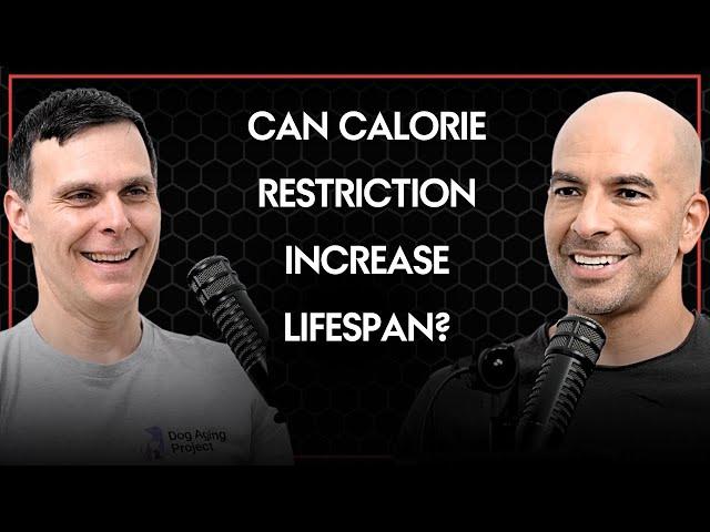 Can calorie restriction increase lifespan? | Peter Attia and Matt Kaeberlein