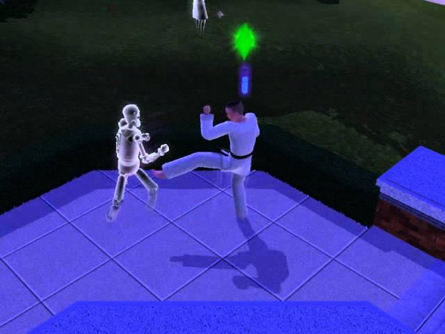 Sim vs ghost-simbot