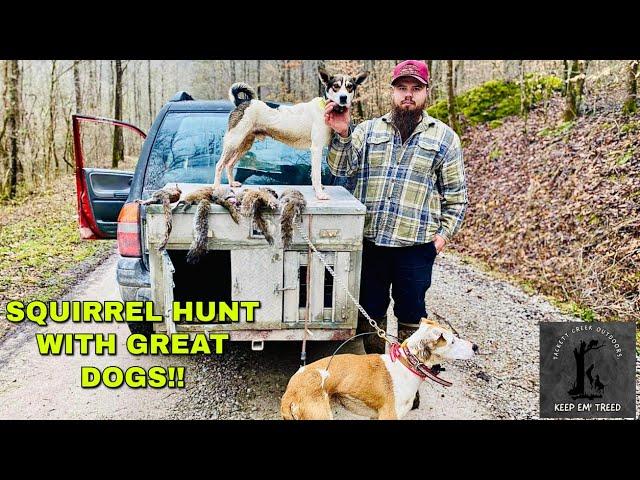 Squirrel Hunting With Good Dogs