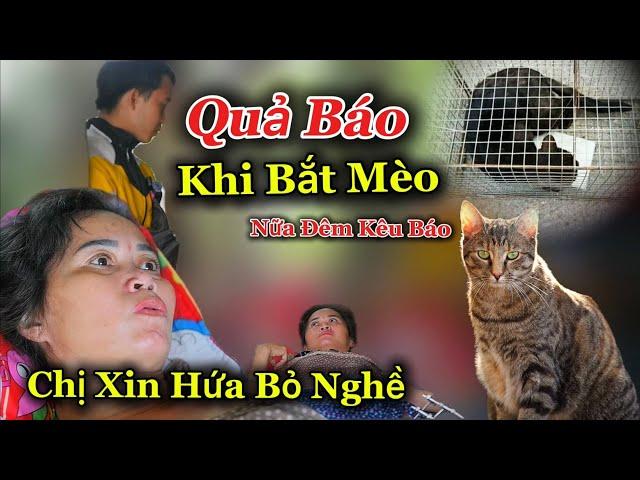 Cảnh Người Phụ Nữ Bị Mèo Về Báo Oán