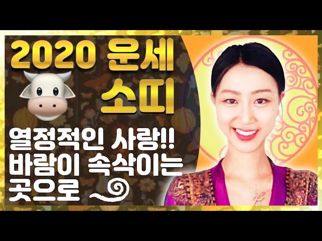 소띠 2020 신년운세  직업운 금전운 애정운 이동운 건강운 행운팁 수호신 + 수호부적