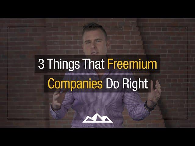 How To Build a Great Freemium SaaS Company