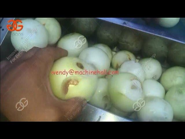 onion root cutting machine|onion process machine