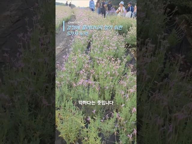감정에 끌려다니지 않기 위한 5가지 노력#정법강의#감정공부#마음수련#영혼질량#내면성장#감정관리법#공포극복#자기수양#감정에너지#지혜의훈련