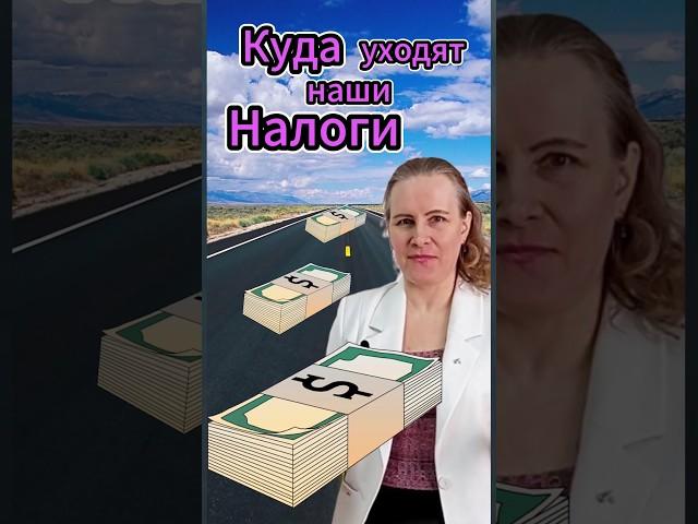 Куда идут налоги: в какой бюджет зачисляется НДФЛ 13 процентов #налоги #ндфл #подоходныйналог