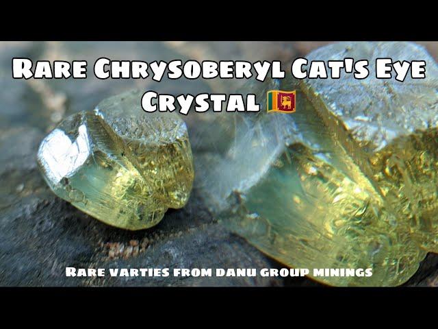 Rare Natural Chrysoberyl Cats Eye Crystal from Sri Lanka - Alluvial Gem Deposit in Rakwana