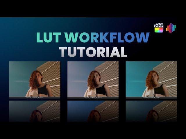 It's all in here... (working with LUTs in Color Finale 2 Pro)