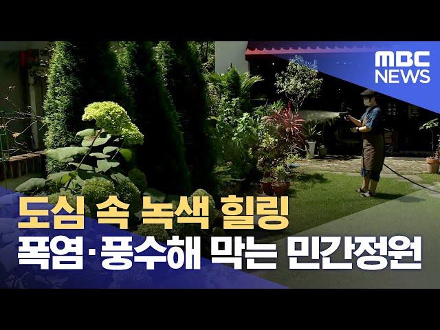 '열섬현상 완화' 민간정원 확대 (2023.08.20/뉴스데스크/대전MBC)