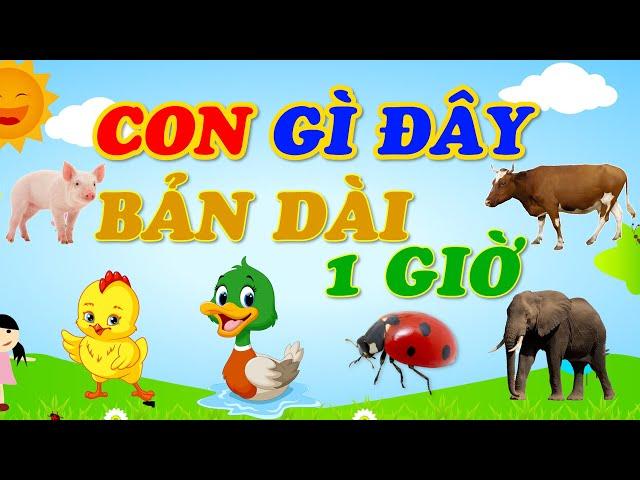 CON GÌ ĐÂY, ĐỘNG VẬT TỔNG HỢP BẢN DÀI NHẬN BIẾT CON VẬT CON BÒ, CON LỢN, CON CHÓ, CON VOI, SỨA TV