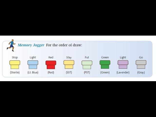 Phlebotomy: The Order of Draw