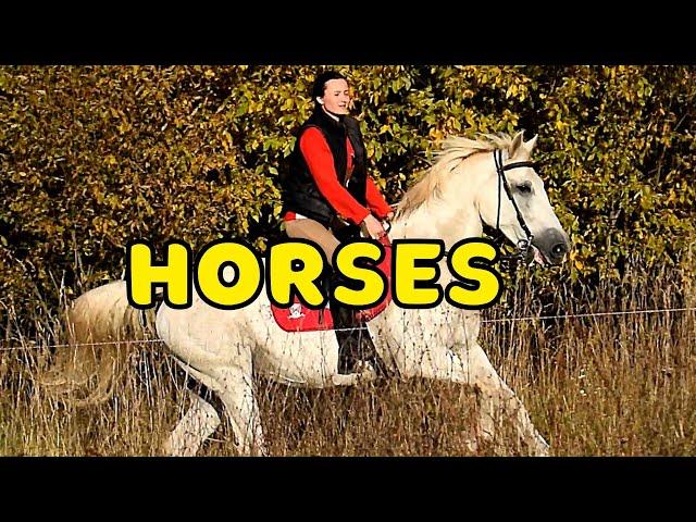 How Russian girls ride a horse