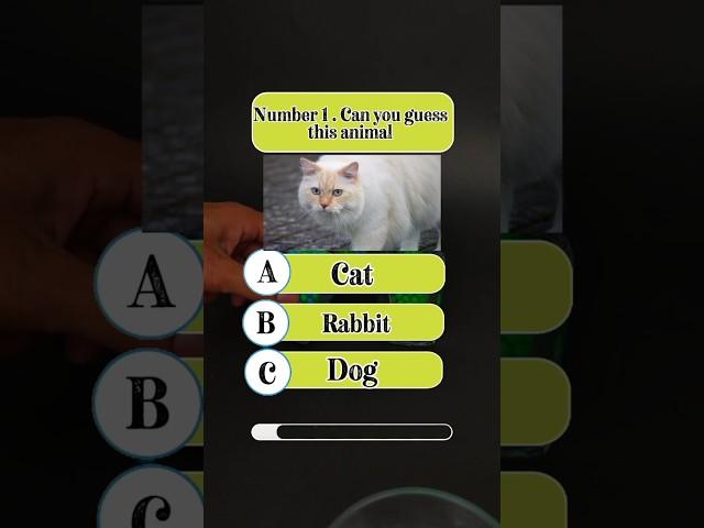 Part 25| Daily Quiz Question Video #dailyquiz #quiz #trivia #quiz #quizzes #quizchallenge