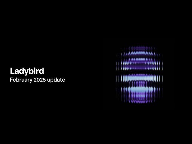 Ladybird browser update (February 2025)