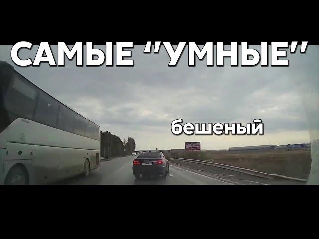 Подборка САМЫХ "УМНЫХ" водителей #1133