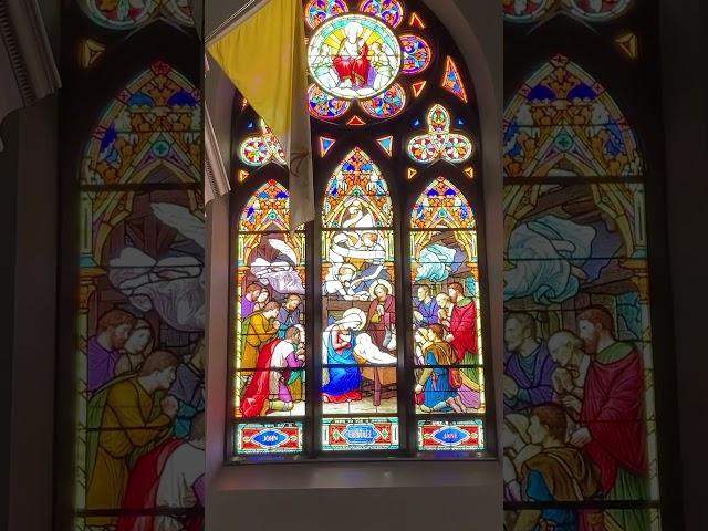 Peace.. Basilica of Our Lady immaculate #guelphontario #guelph #ontario #amen #love