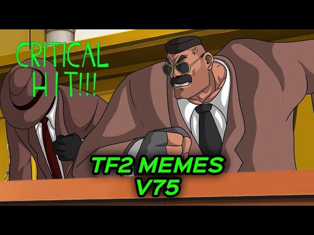 TF2 MEMES V75