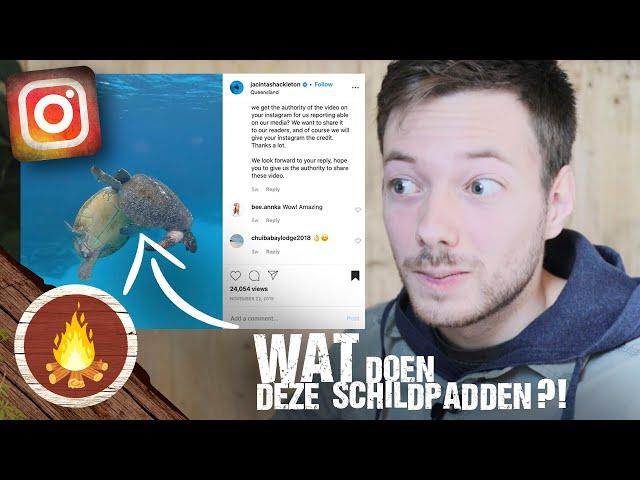 REAGEREN OP VIRAL DIEREN VIDEOS - INSTAGRAM