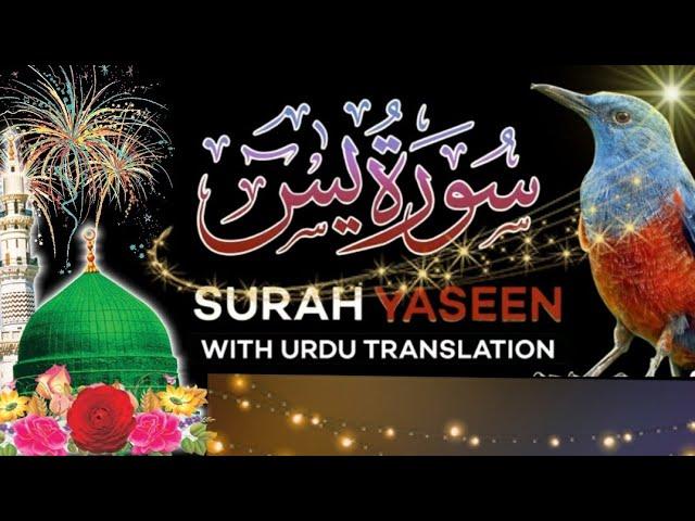 Surah Yasin (Yaseen( سورة يس| Wonderful Relaxing HeartTouching Voice | Dil ka Sukun 12