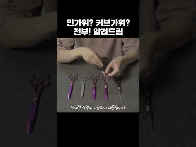 1분 만에 알 수있는 기초적인 민가위와 커브가위 #애견 #반려견 #미용사 #셀프 #미용 #강아지