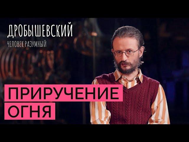 Зачем людям был нужен огонь? // Дробышевский. Человек разумный