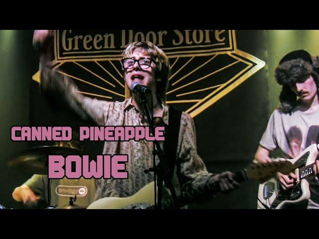 CANNED PINEAPPLE - BOWIE