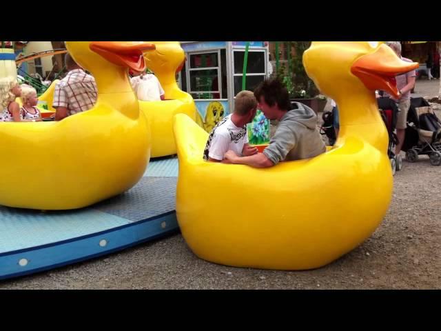 Roller Coaster Accident Crazy Duck