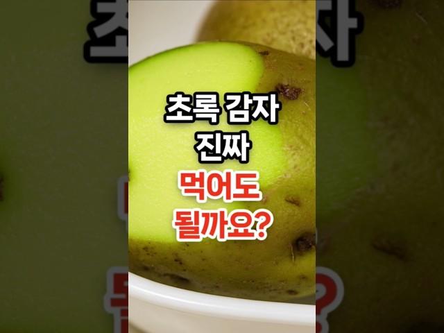 초록 감자 먹어도 되나요? #건강 #건강정보 #건강상식
