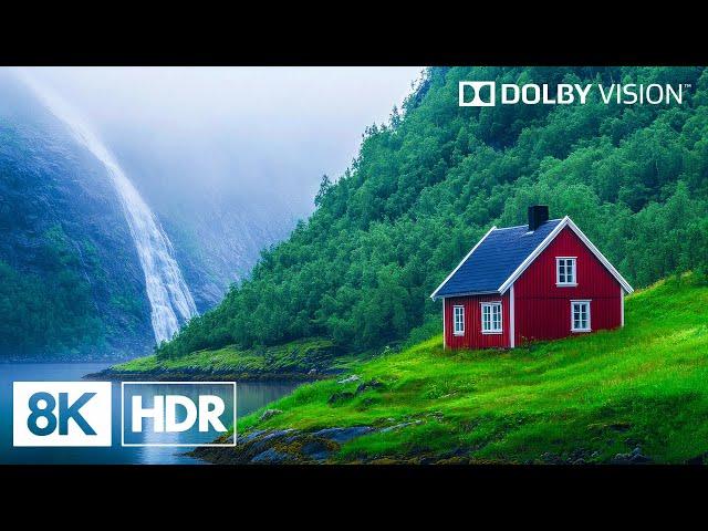 Spectacular Green Planet in 8K HDR | Dolby Vision™